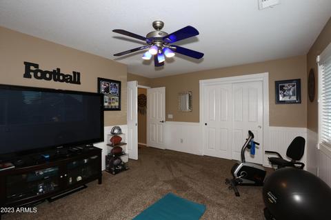 7248 E Nido Ave, Mesa, AZ 85209 photo 37