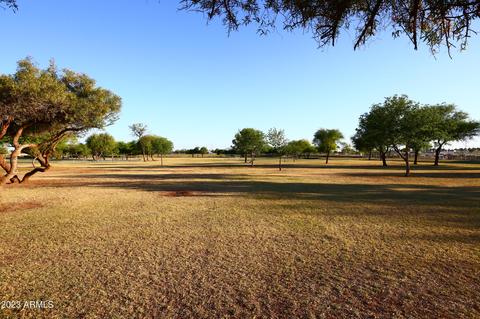 7248 E Nido Ave, Mesa, AZ 85209 photo 59