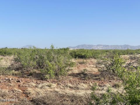 lot463 Texas Christian -- #463, Douglas, AZ 85607