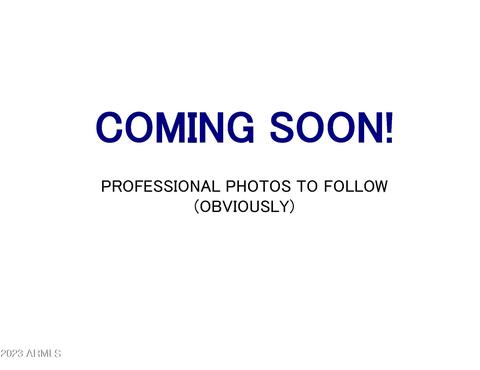 3002 E Marilyn Rd, Phoenix, AZ 85032 photo 13