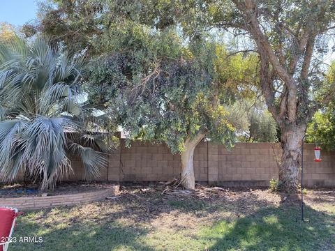 3002 E Marilyn Rd, Phoenix, AZ 85032 photo 10
