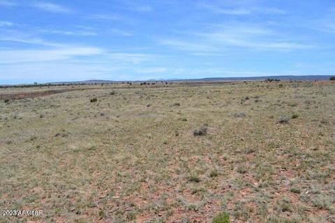 lot166 Acr 5500 -- #166, Concho, AZ 85924