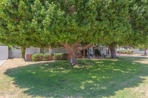 3110 N 46th Pl, Phoenix, AZ 85018 photo 3