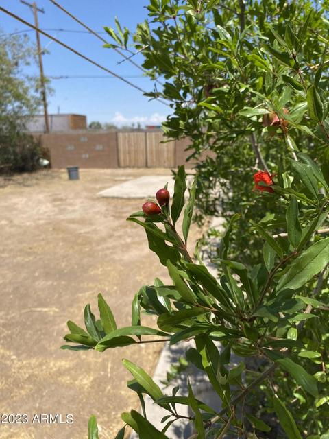 2134 W Monroe St, Phoenix, AZ 85009 photo 42