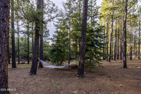 2772 Larson Loop, Forest Lakes, AZ 85931 photo 53