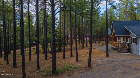 2772 Larson Loop, Forest Lakes, AZ 85931 photo 58
