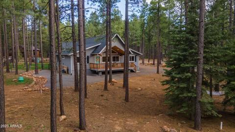 2772 Larson Loop, Forest Lakes, AZ 85931 photo 59