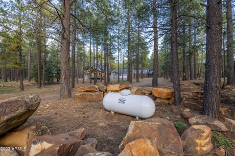 2772 Larson Loop, Forest Lakes, AZ 85931 photo 64