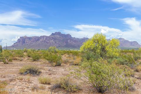 262 S Cactus Rd, Apache Junction, AZ 85119 photo 31