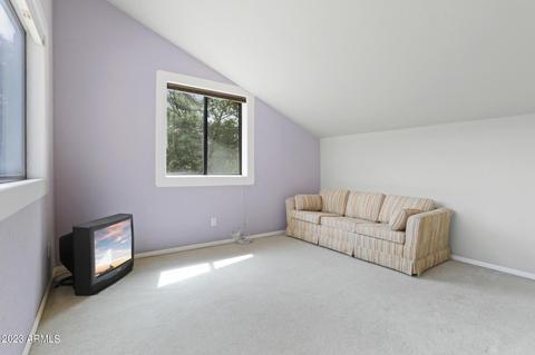 6494 W Randall Pl, Pine, AZ 85544 photo 16