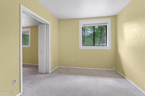 6494 W Randall Pl, Pine, AZ 85544 photo 8