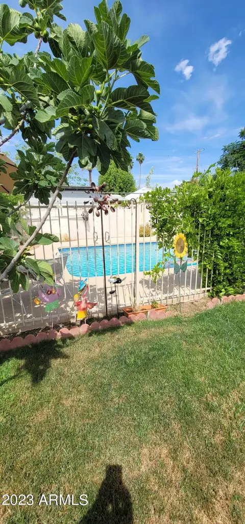2121 E Osborn Rd, Phoenix, AZ 85016 photo 107