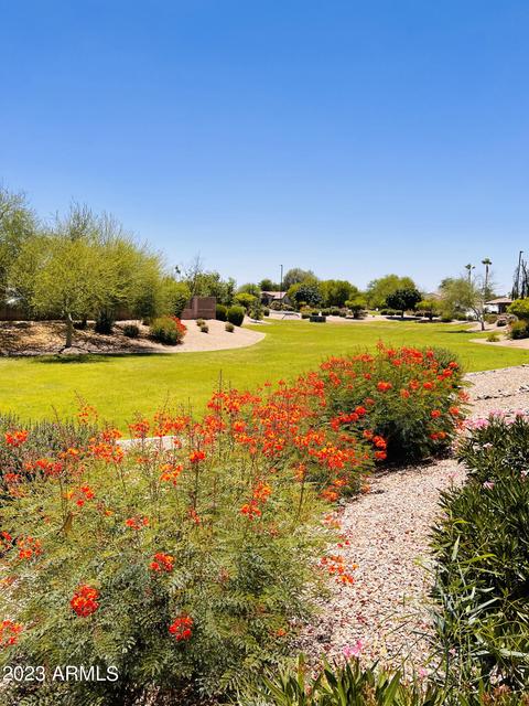 2541 E Milky Way, Gilbert, AZ 85295 photo 39