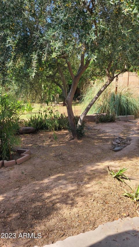1828 E Missouri Ave, Phoenix, AZ 85016 photo 13