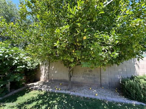 4074 E Park Ave, Gilbert, AZ 85234 photo 24