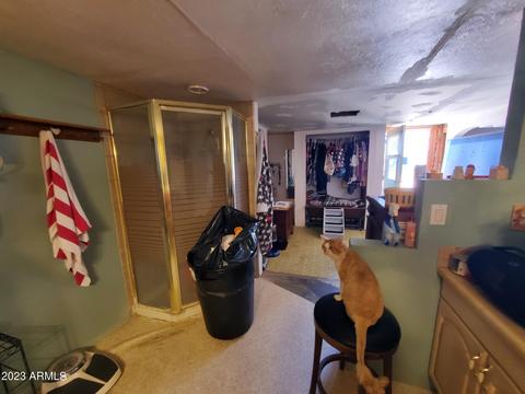 775 S Vista Rd, Apache Junction, AZ 85119 photo 16