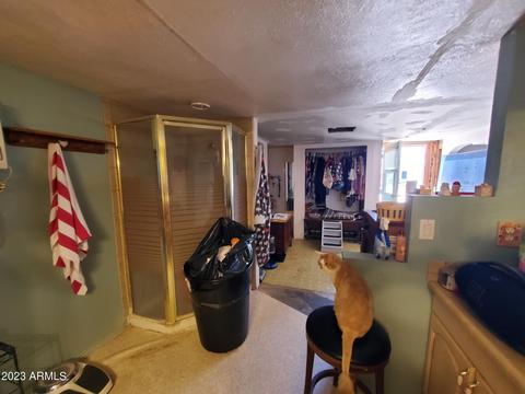 775 S Vista Rd, Apache Junction, AZ 85119 photo 15