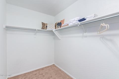 2743 E Windsor Ave, Phoenix, AZ 85008 photo 13