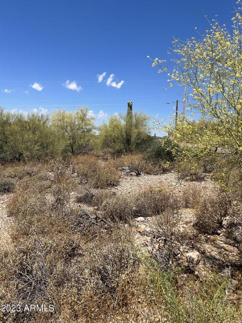 300 N Cavendish St #164, Queen Valley, AZ 85118