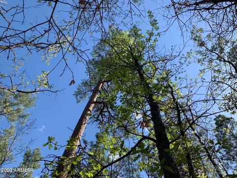 0 S Briarwood Ln #55, Pinetop, AZ 85935