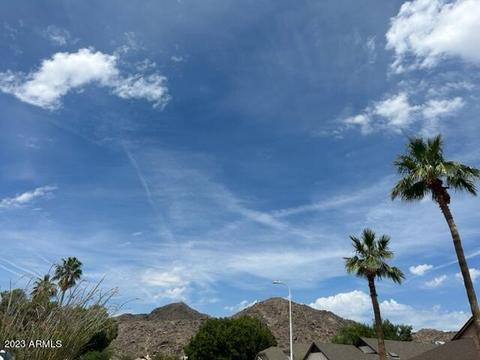 4109 E Alta Mesa Ave, Phoenix, AZ 85044 photo 28