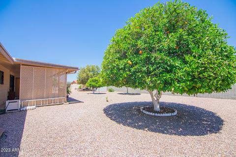 6560 E Des Moines St, Mesa, AZ 85205 photo 43
