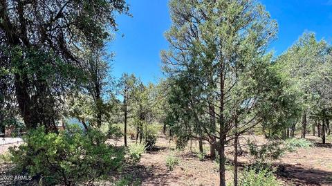 515 W Saddle Ln, Payson, AZ 85541 photo 29