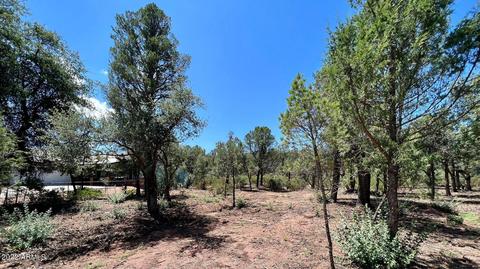 515 W Saddle Ln, Payson, AZ 85541 photo 30