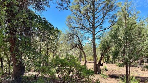 515 W Saddle Ln, Payson, AZ 85541 photo 28
