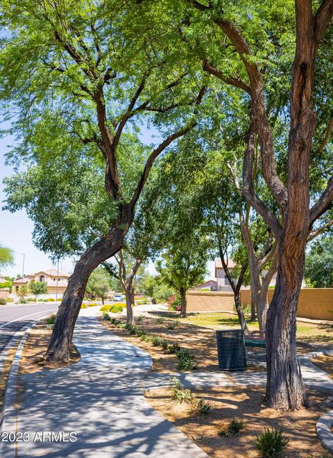 1101 W Bruce Ave, Gilbert, AZ 85233 photo 26