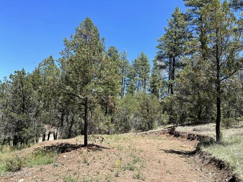33 W Forest Svc Rd 200 -- #33, Young, AZ 85554