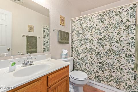 4408 E Ute St, Phoenix, AZ 85044 photo 28