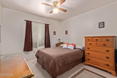 4408 E Ute St, Phoenix, AZ 85044 photo 27