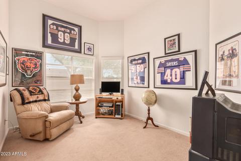 6718 E Saddleback Cir, Mesa, AZ 85215 photo 26