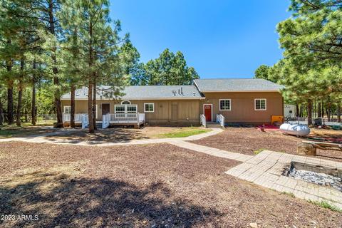 2865 Little Hawk Trl, Overgaard, AZ 85933 photo 28
