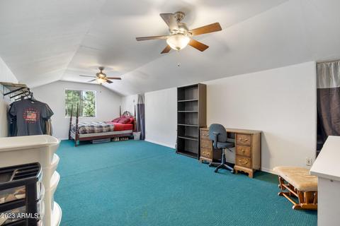 2865 Little Hawk Trl, Overgaard, AZ 85933 photo 25