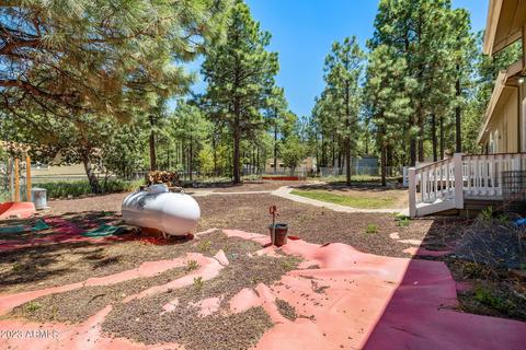 2865 Little Hawk Trl, Overgaard, AZ 85933 photo 27