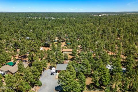 2865 Little Hawk Trl, Overgaard, AZ 85933 photo 33