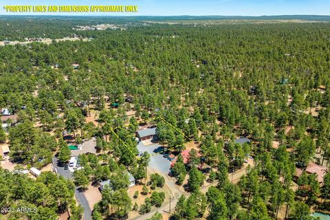2865 Little Hawk Trl, Overgaard, AZ 85933 photo 34