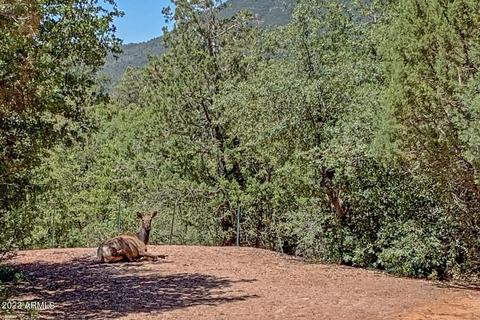 5573 W Pinon Dr, Pine, AZ 85544 photo 46