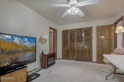 5573 W Pinon Dr, Pine, AZ 85544 photo 20