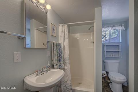 5573 W Pinon Dr, Pine, AZ 85544 photo 42