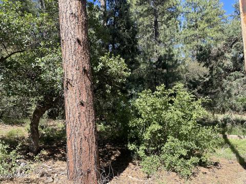 5155 N Walnut Dr, Pine, AZ 85544 photo 20