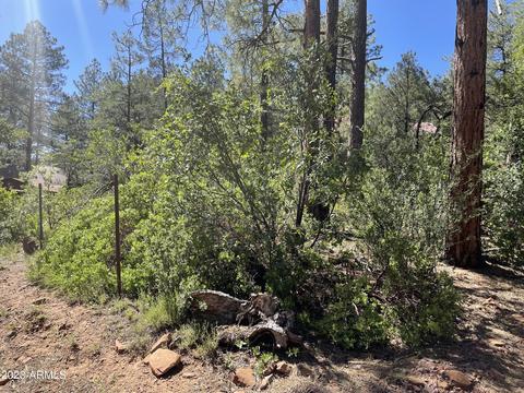5155 N Walnut Dr, Pine, AZ 85544 photo 22