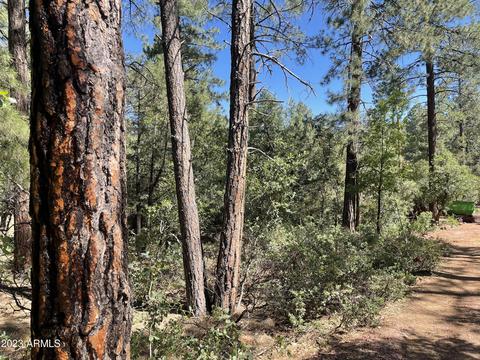 5155 N Walnut Dr, Pine, AZ 85544 photo 27