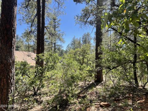 5155 N Walnut Dr, Pine, AZ 85544 photo 29