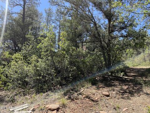 5155 N Walnut Dr, Pine, AZ 85544 photo 30