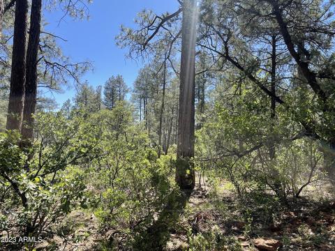 5155 N Walnut Dr, Pine, AZ 85544 photo 24