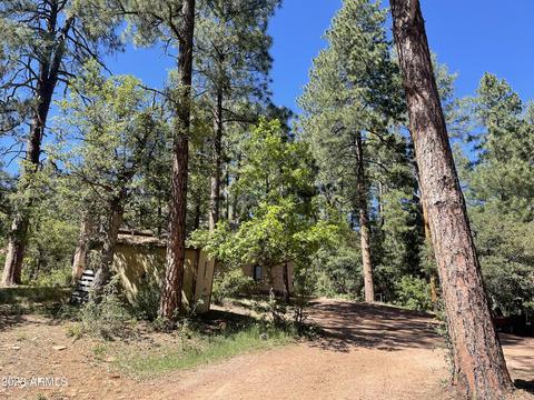 5155 N Walnut Dr, Pine, AZ 85544 photo 2