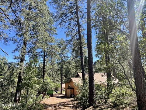 5155 N Walnut Dr, Pine, AZ 85544 photo 26